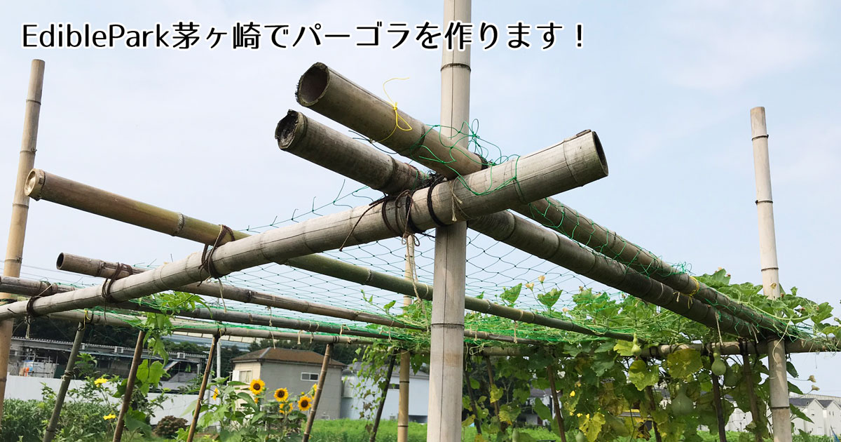 炭焼き 穴掘り 支柱立て Ediblepark茅ヶ崎のパーゴラ拡張大作戦 Green Rhythm