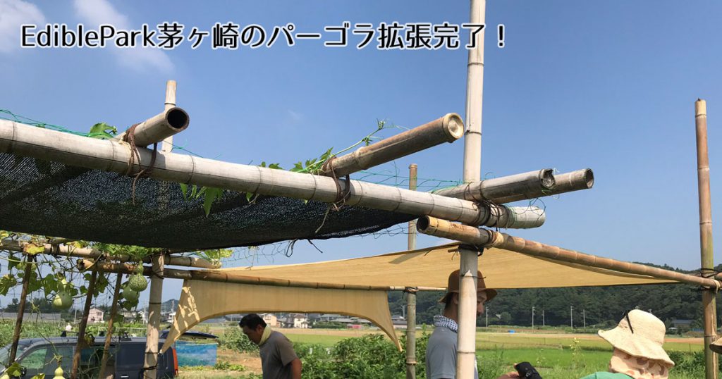 縄で竹を組む！EdiblePark茅ヶ崎のパーゴラ拡張大作戦その2 Green Rhythm