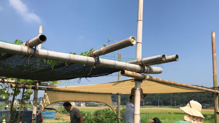 縄で竹を組む！EdiblePark茅ヶ崎のパーゴラ拡張大作戦その２